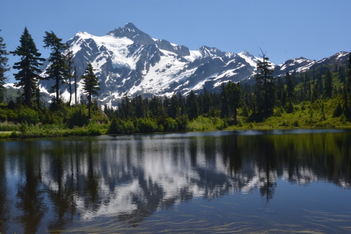 Picture Lake Trail 